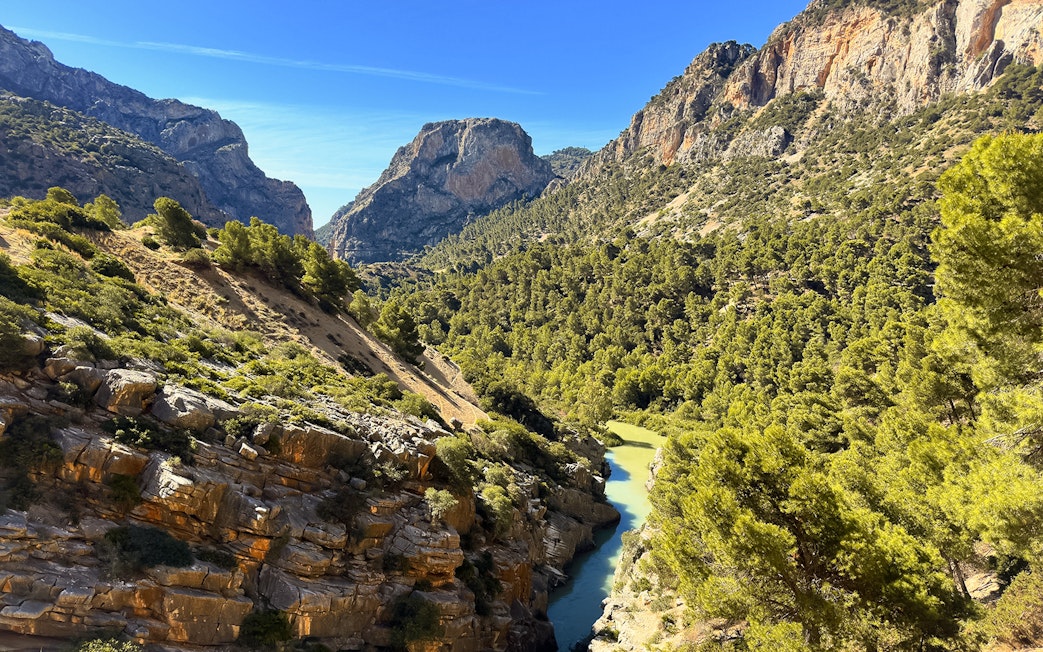 Caminito del Rey pathway through rocky gorge and lush forest in Málaga, Spain.