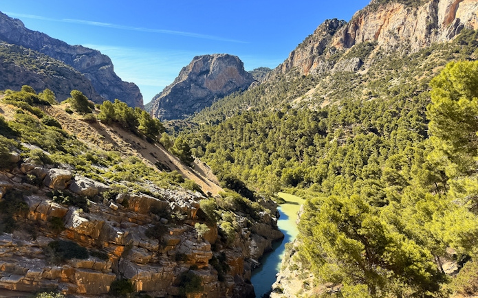 Caminito del Rey pathway through rocky gorge and lush forest in Málaga, Spain.