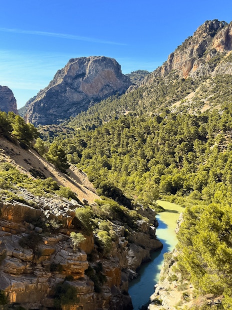 Caminito del Rey pathway through rocky gorge and lush forest in Málaga, Spain.