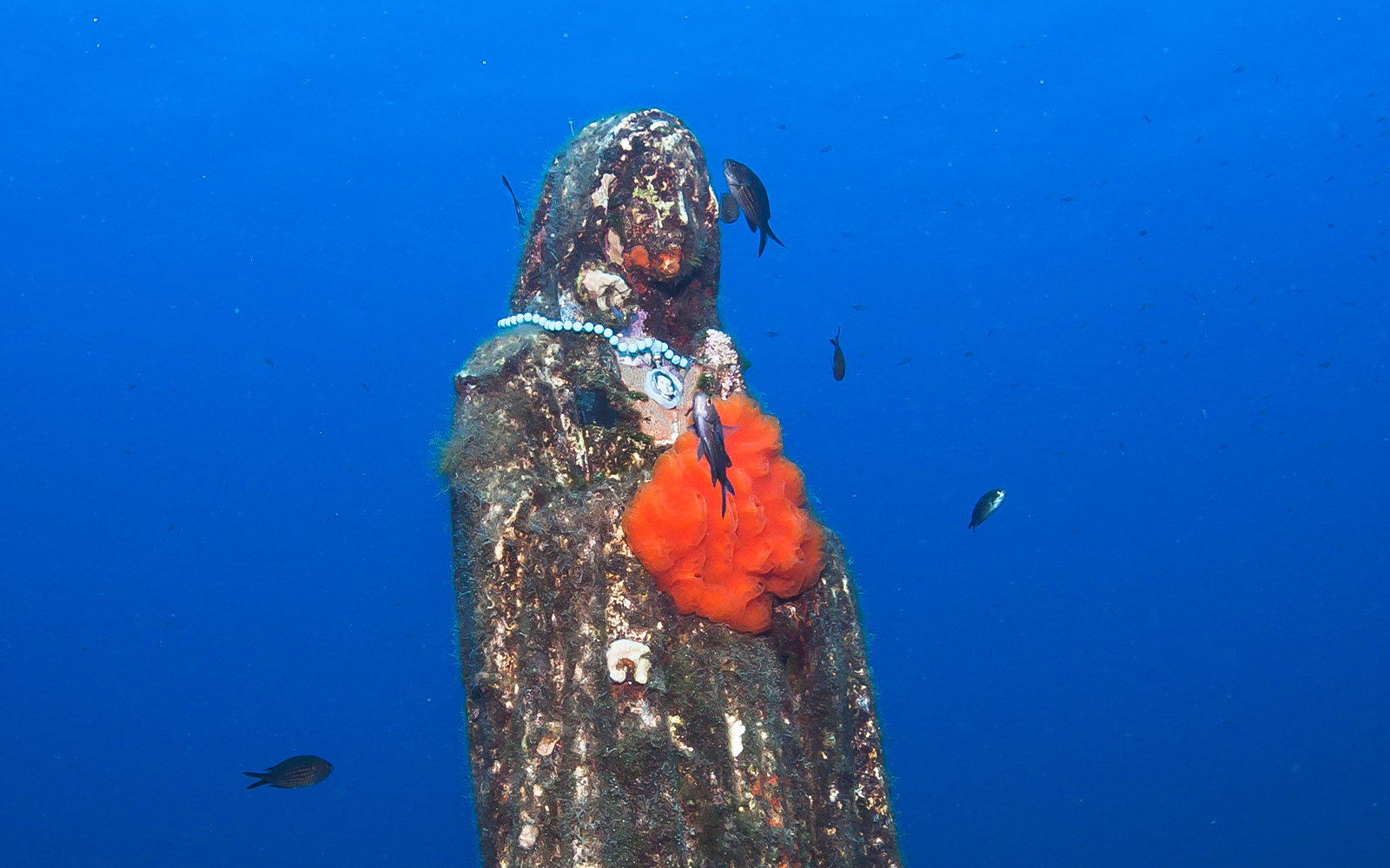 Maltese history and its hidden treasures