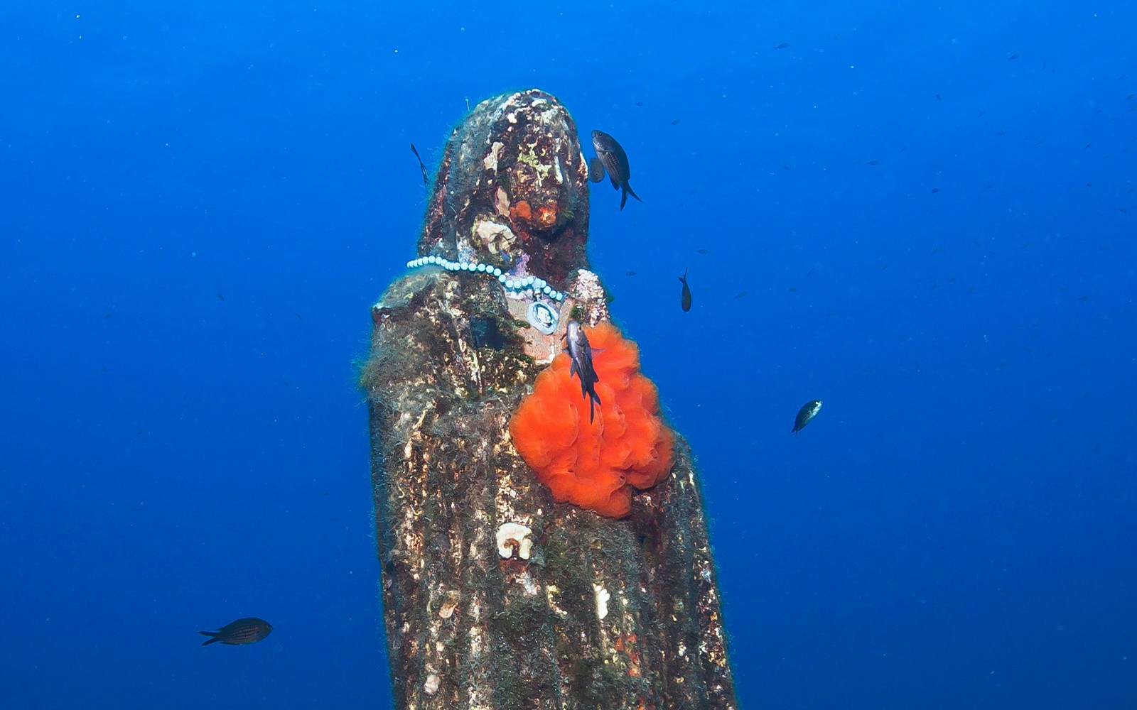 Malta Aquarium Tickets