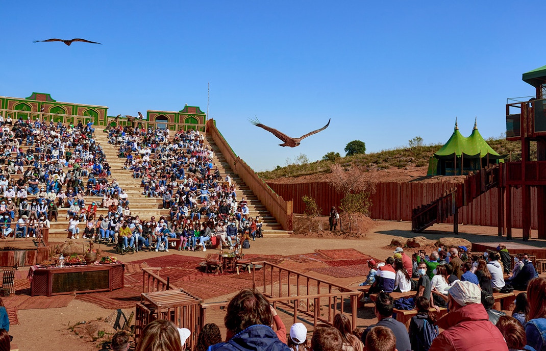 Peak Season vs. Low Season