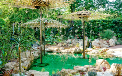 Gardens at Domaine du Chaumont-sur-Loire Castle, Loire Valley, featuring lush greenery and a tranquil pond.