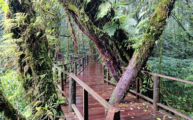 From Chiang Mai: Doi Inthanon National Park Small-Group Day Trip