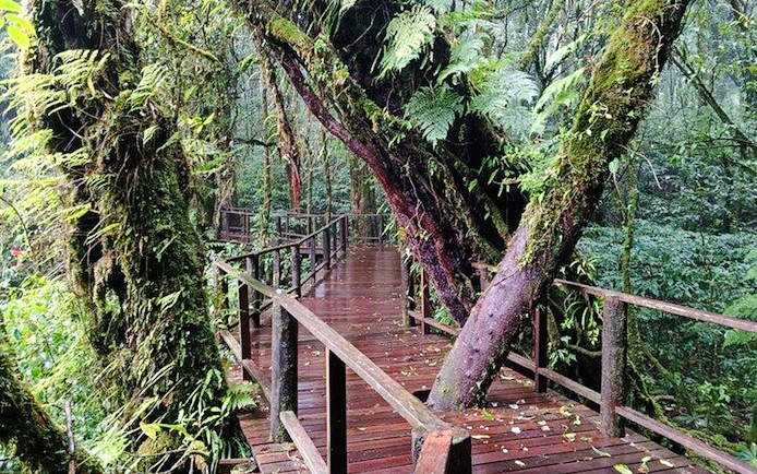 From Chiang Mai: Doi Inthanon National Park Small-Group Day Trip
