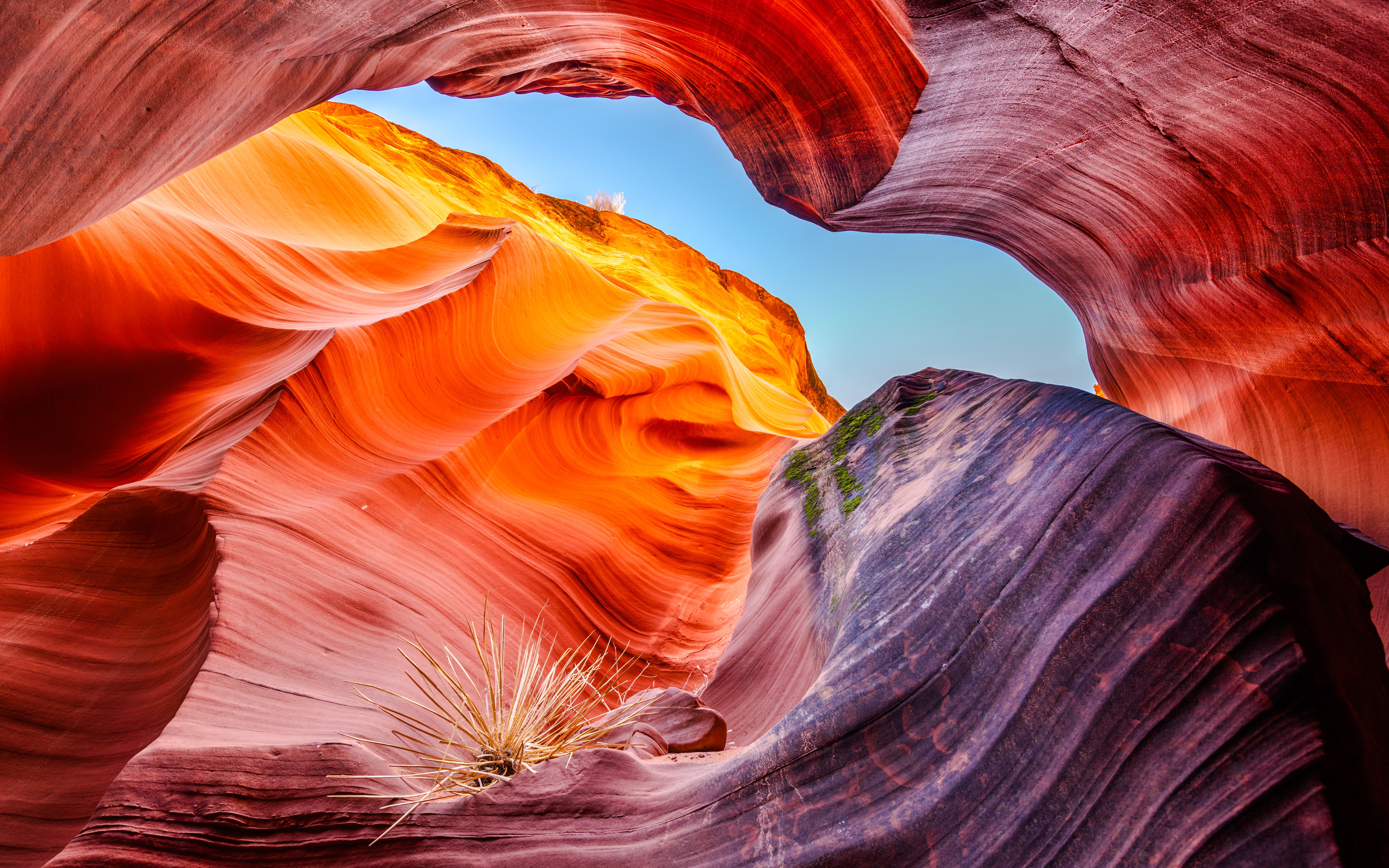 Rattlesnake Canyon sandstone formations with vibrant orange and red hues.