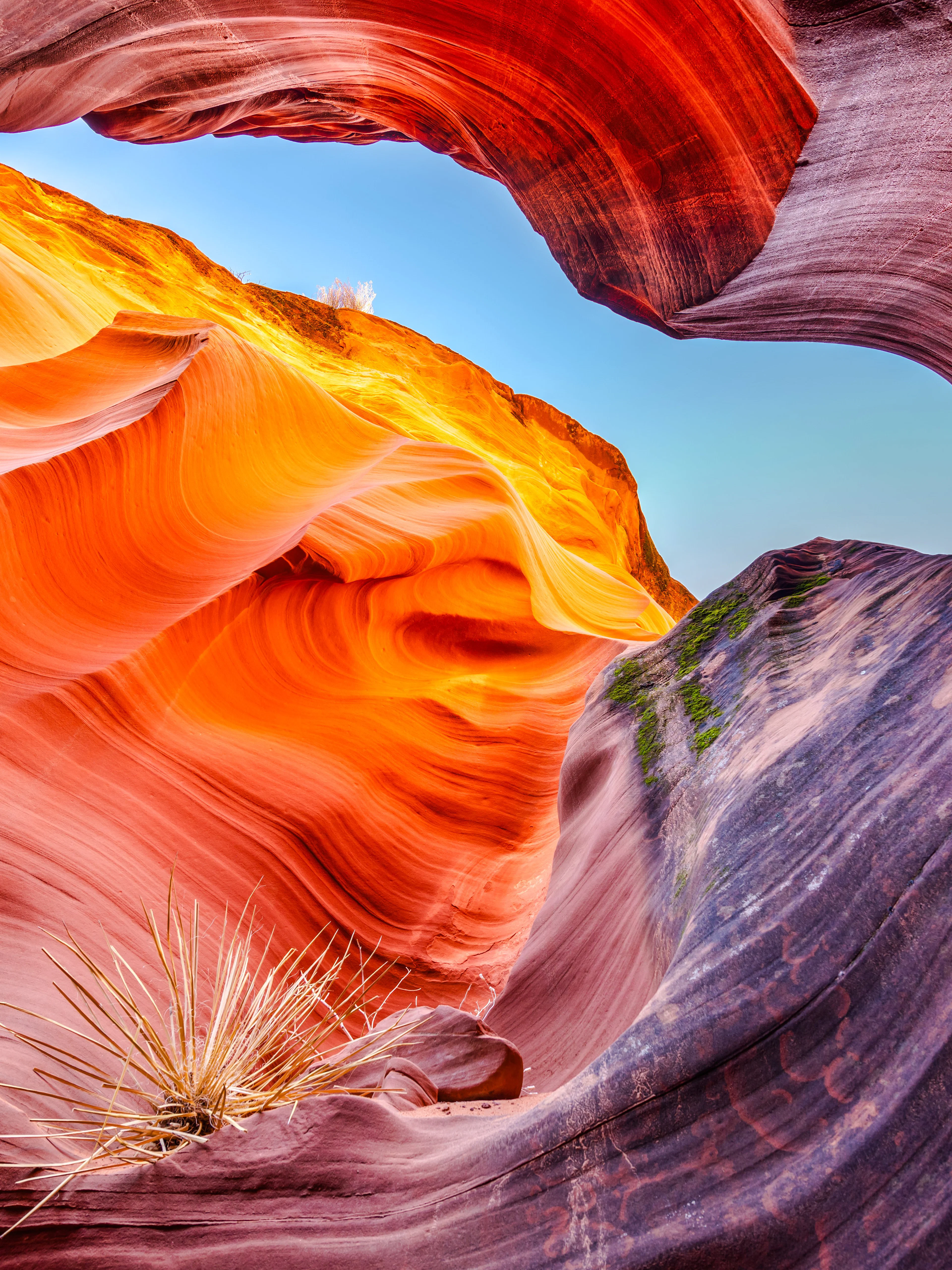 Rattlesnake Canyon sandstone formations with vibrant orange and red hues.