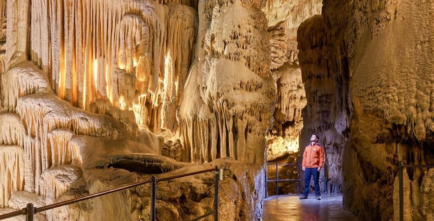 Exploring stalactites in Postojna Cave during guided tour.