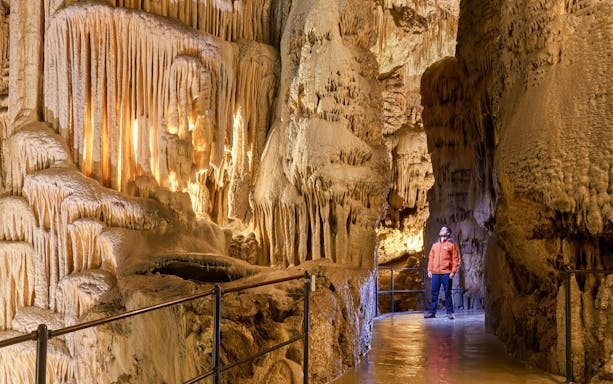 Exploring stalactites in Postojna Cave during guided tour.