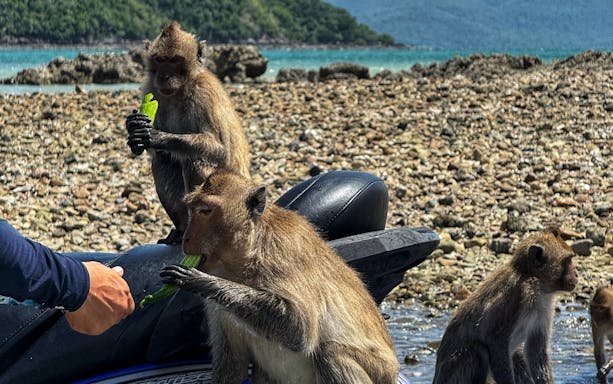 pattaya: join-in jet ski 3islands 3h tour (mini tour) -3
