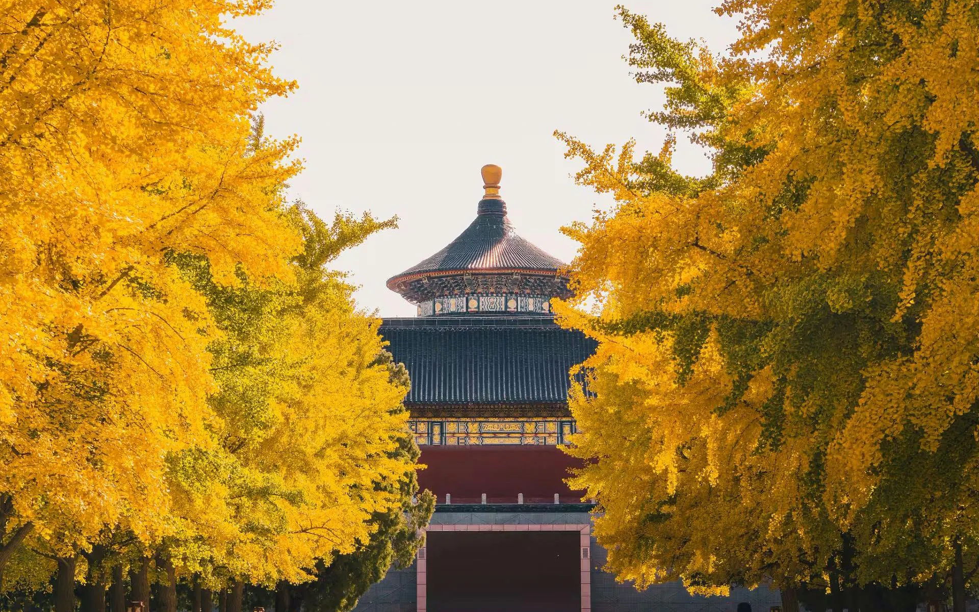 Hall of Prayer for Good Harvests framed by autumn trees at the Temple of Heaven, Beijing, China.