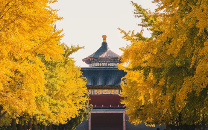 Hall of Prayer for Good Harvests framed by autumn trees at the Temple of Heaven, Beijing, China.