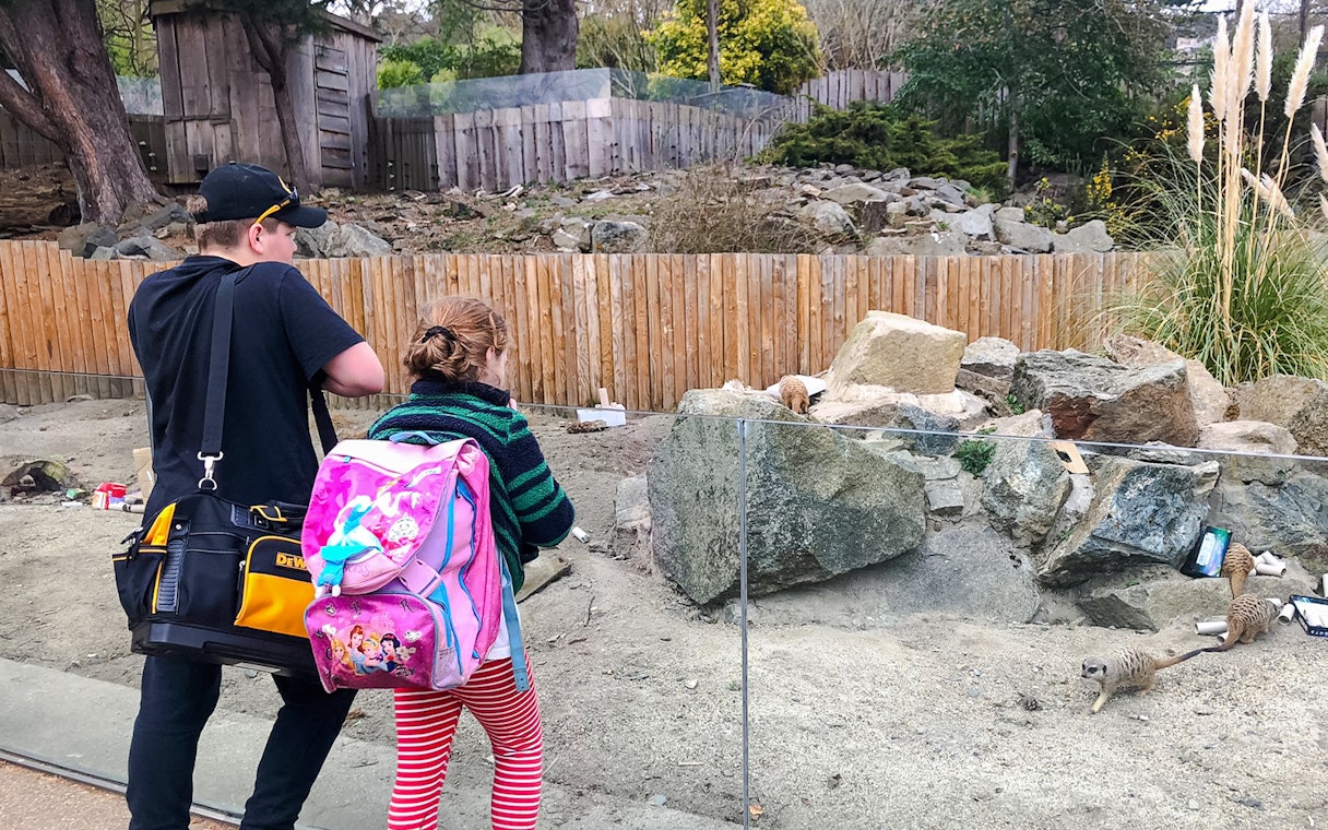 Children watching meerkats at Edinburgh Zoo enclosure.