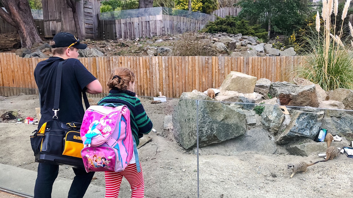 Children watching penguins swim at Edinburgh Zoo.