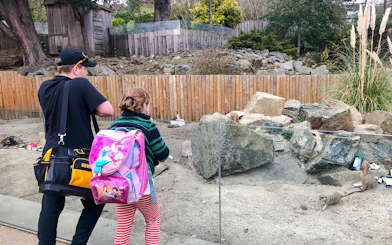 Children watching meerkats at Edinburgh Zoo enclosure.