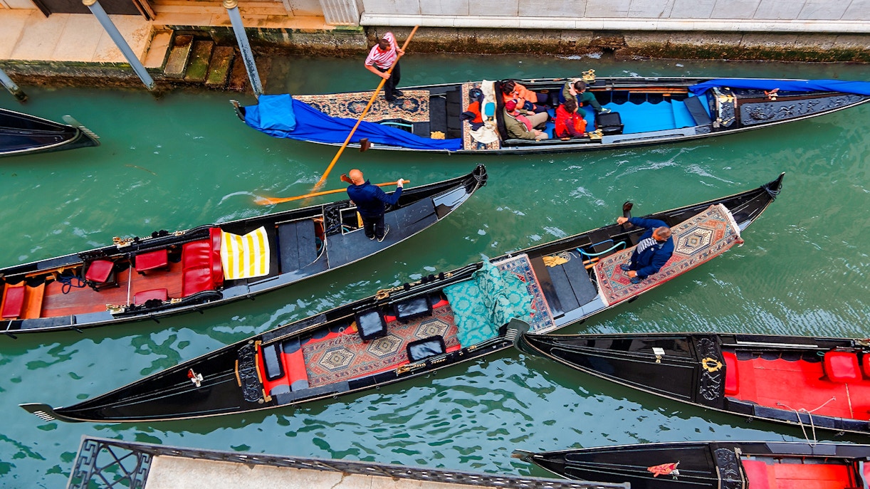 Increase in the number of gondolas populating Venice's canals