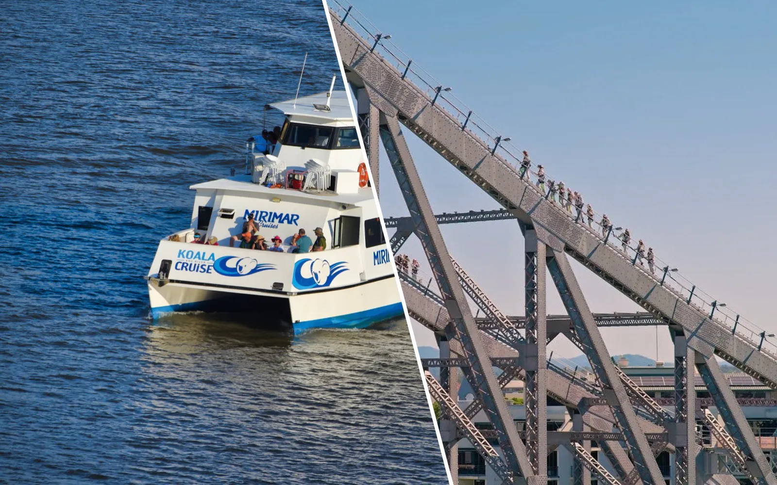 Lone Pine Koala Sanctuary and Brisbane River Cruise with Story Bridge Adventure Climb