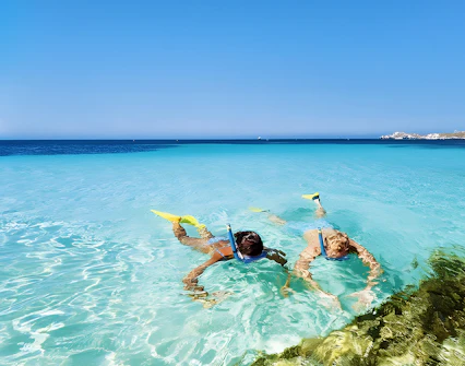 Snorkelers exploring clear waters near Rottnest Island's coastline on a sunny day.