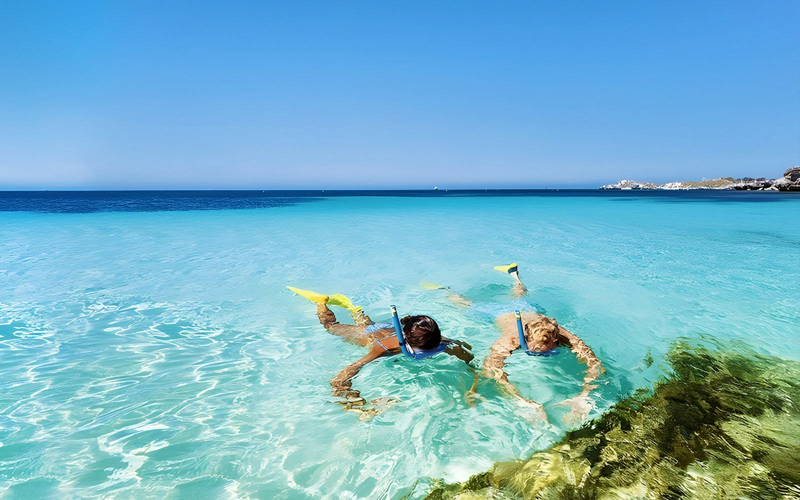 Tourists enjoying snorkeling in the ocean at the Rottnest Island Tour, with a view of the island's coastline and clear blue waters