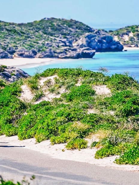 Segway tour group exploring Rottnest Island coast with ocean view.