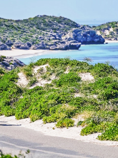 Segway tour group exploring Rottnest Island coast with ocean view.