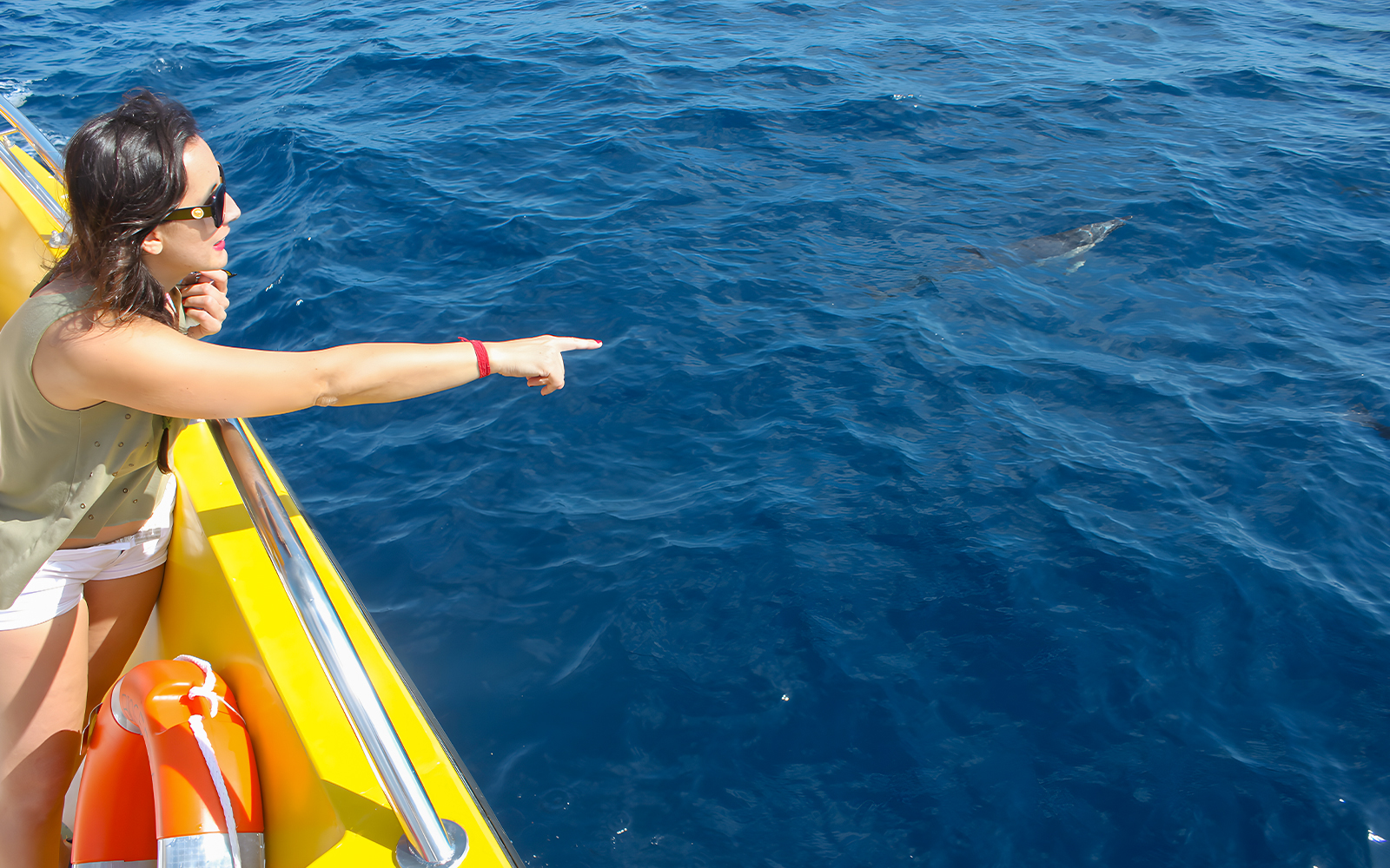 Tourist pointing at dolphins from a yellow mini speedboat on the ocean.