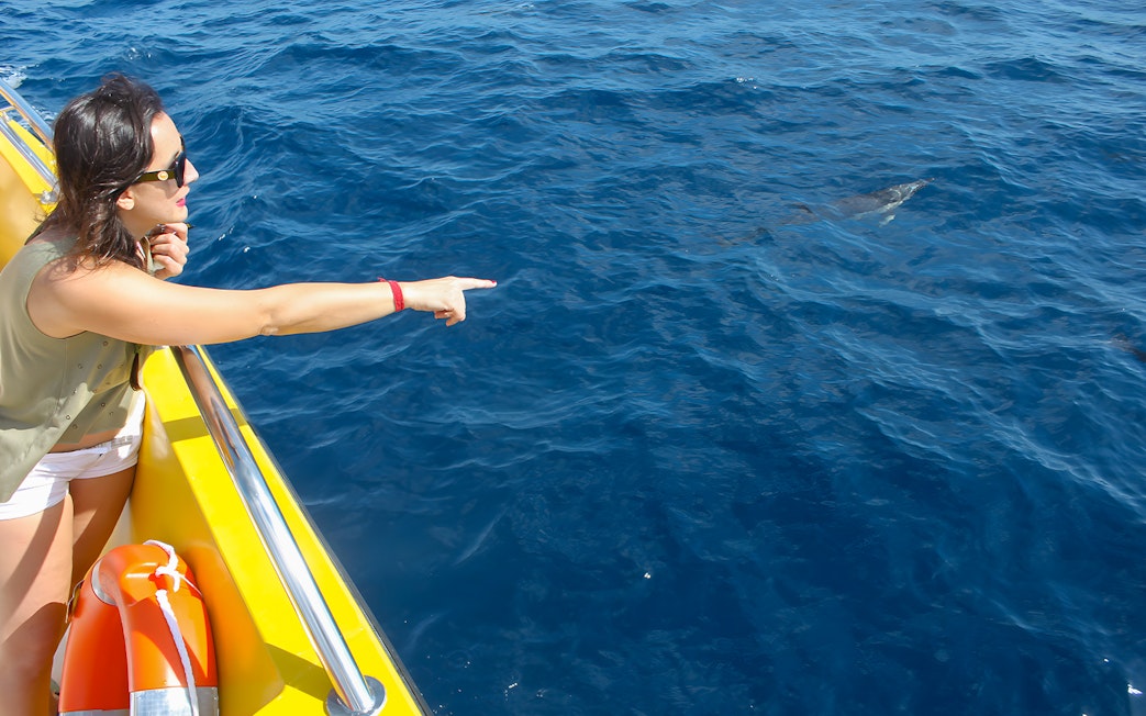 Tourist pointing at dolphins from a yellow mini speedboat on the ocean.