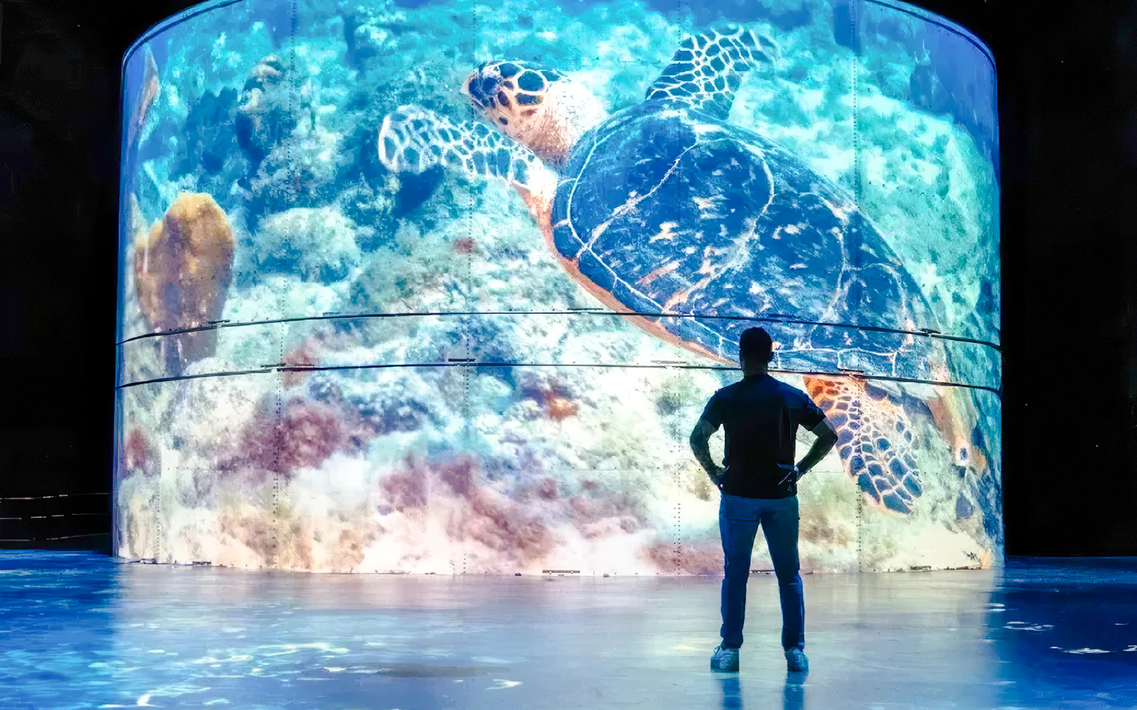 Enter the immersive exhibition space