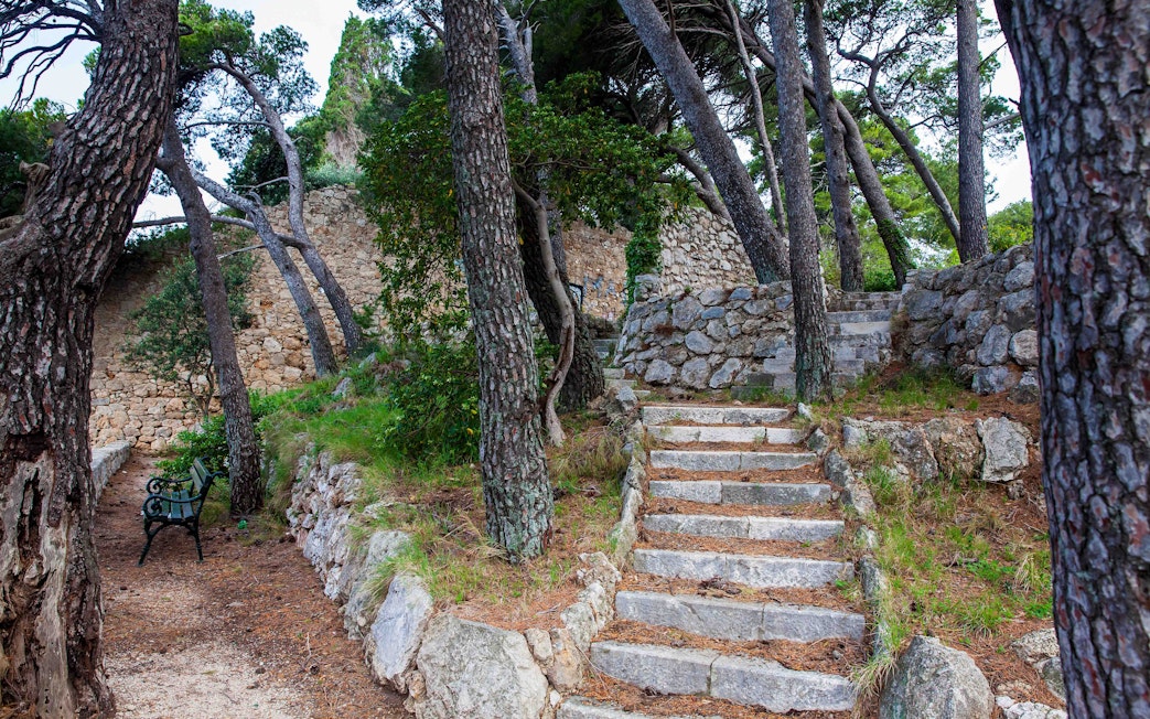 Stone steps and trees in Park Gradac, Dubrovnik.