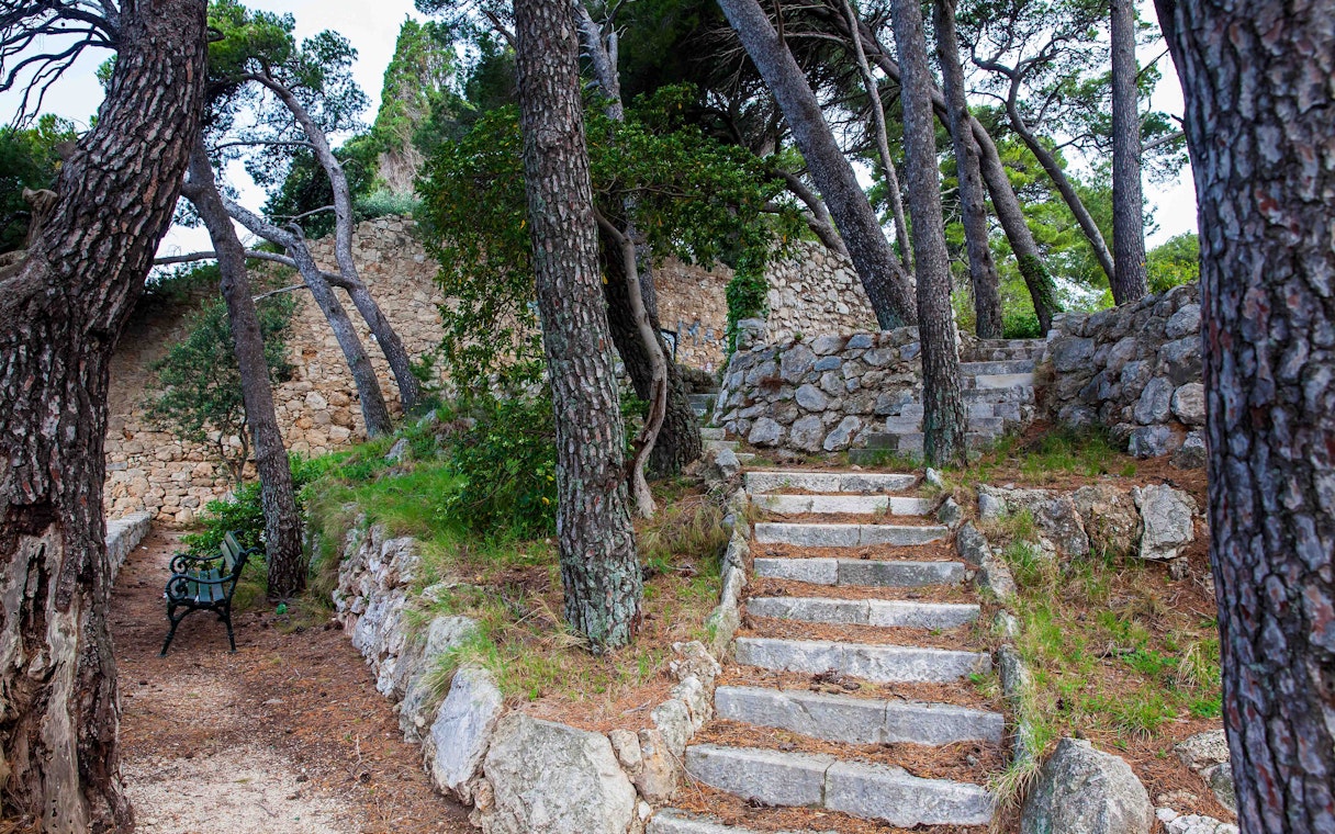 Stone steps and trees in Park Gradac, Dubrovnik.