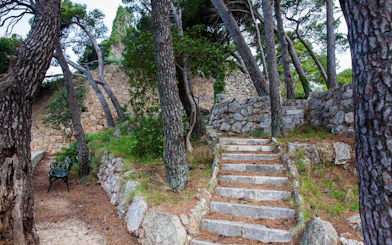Stone steps and trees in Park Gradac, Dubrovnik.