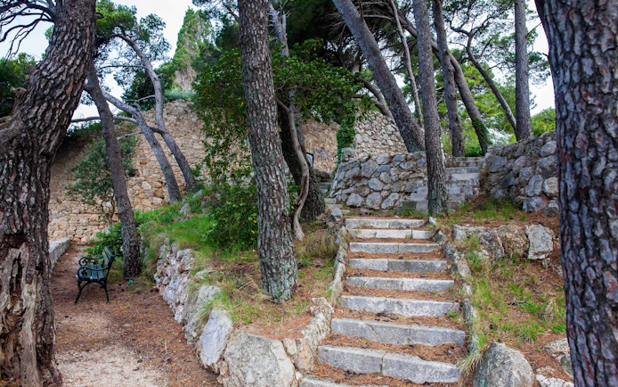 Stone steps and trees in Park Gradac, Dubrovnik.