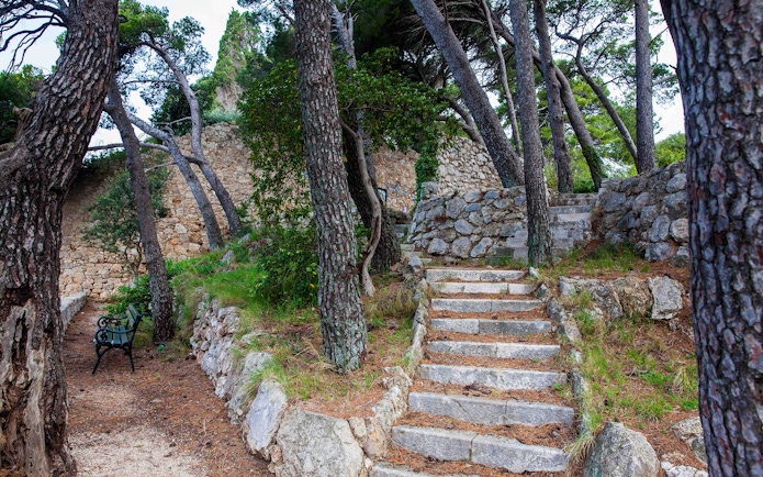 Stone steps and trees in Park Gradac, Dubrovnik.