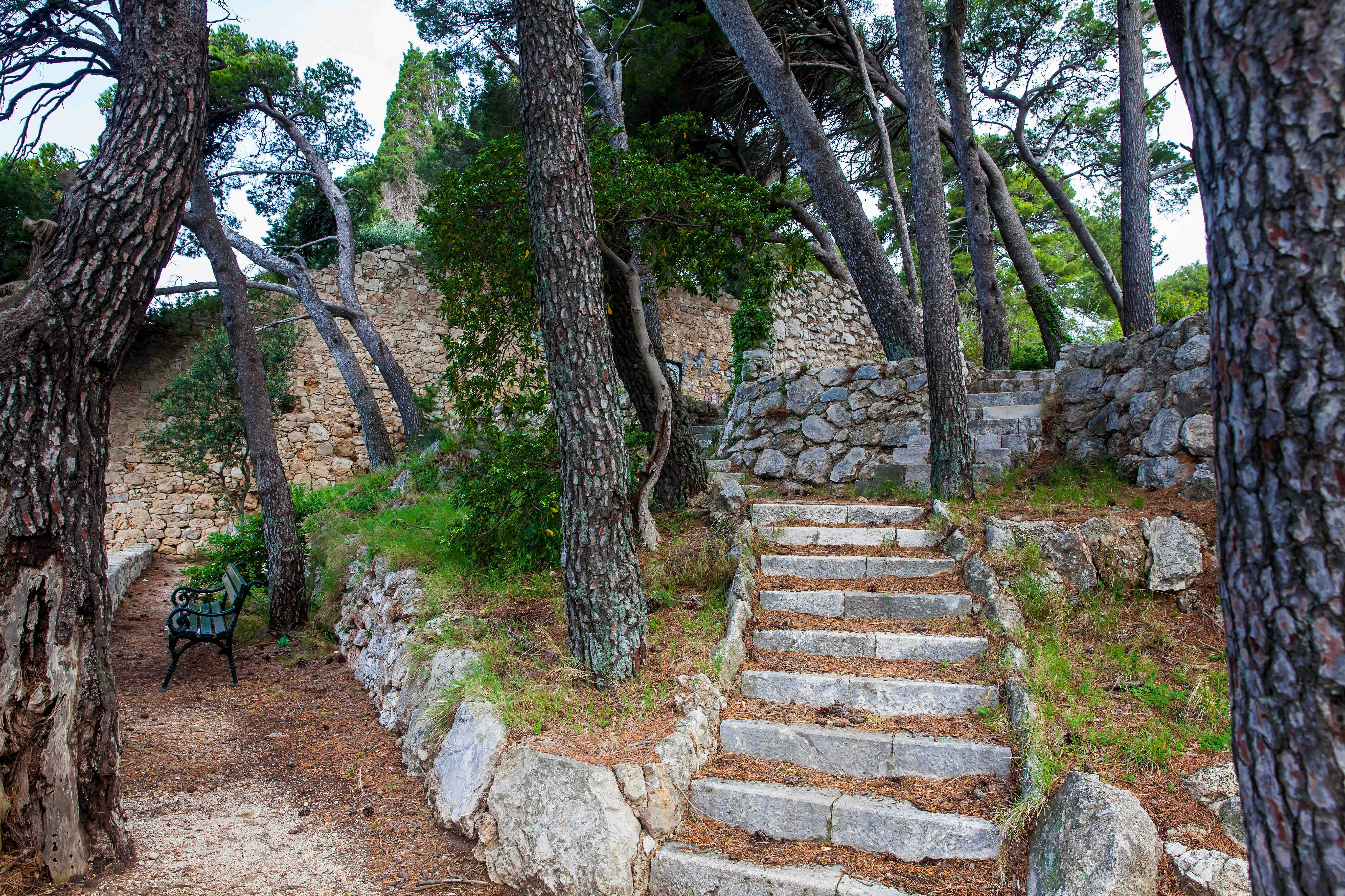Park Gradac Dubrovnik scenic view with lush greenery and historic city walls in the background.