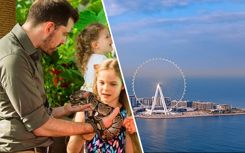 Children interacting with a snake at The Green Planet Dubai; view of Ain Dubai Ferris wheel.
