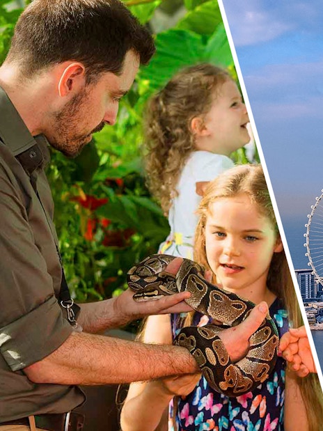 Children interacting with a snake at The Green Planet Dubai; view of Ain Dubai Ferris wheel.