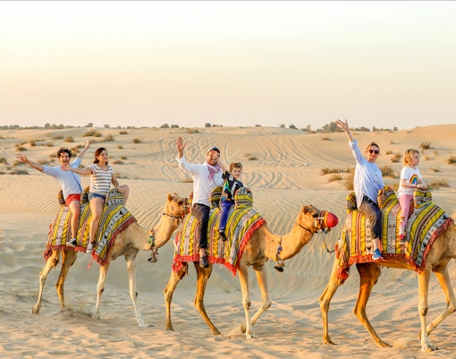 paseo en camello por Dubai