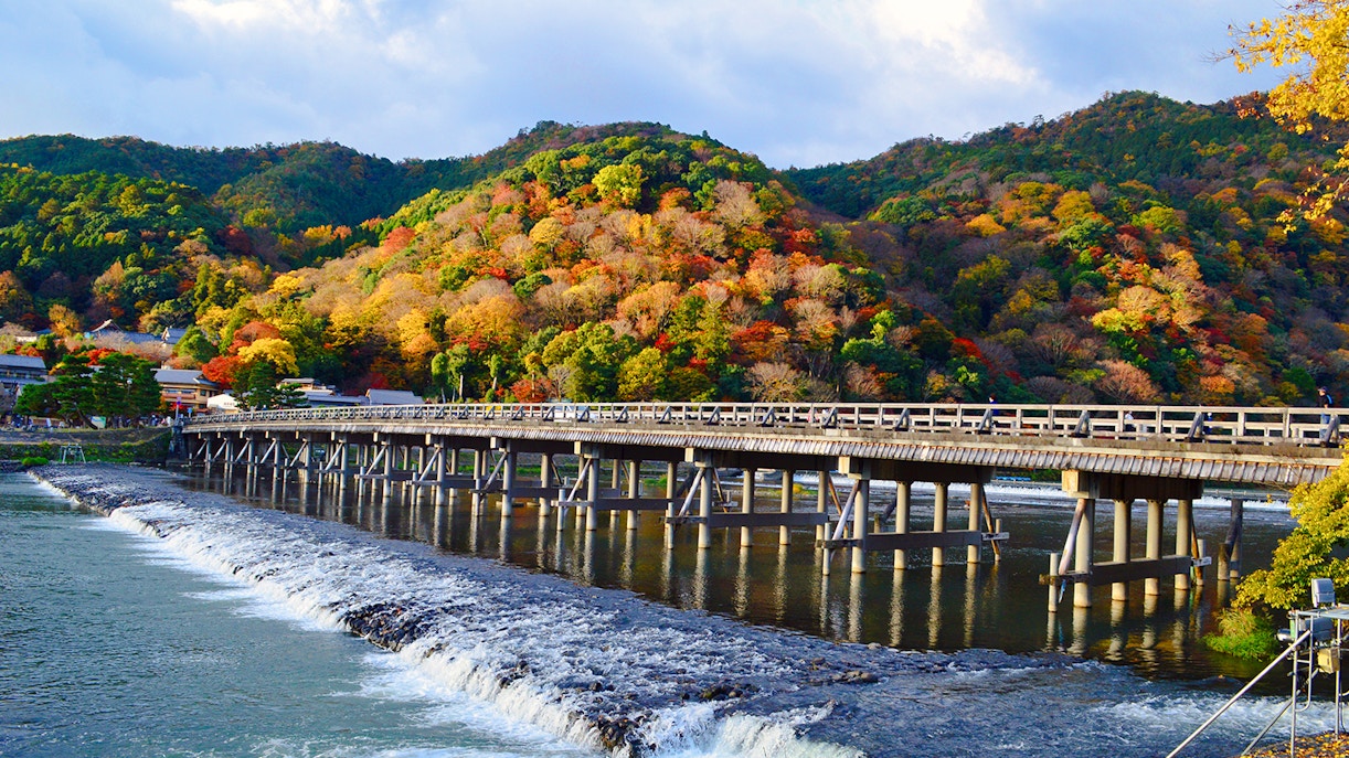Guide to Visiting the Sagano Romantic Train in Kyoto