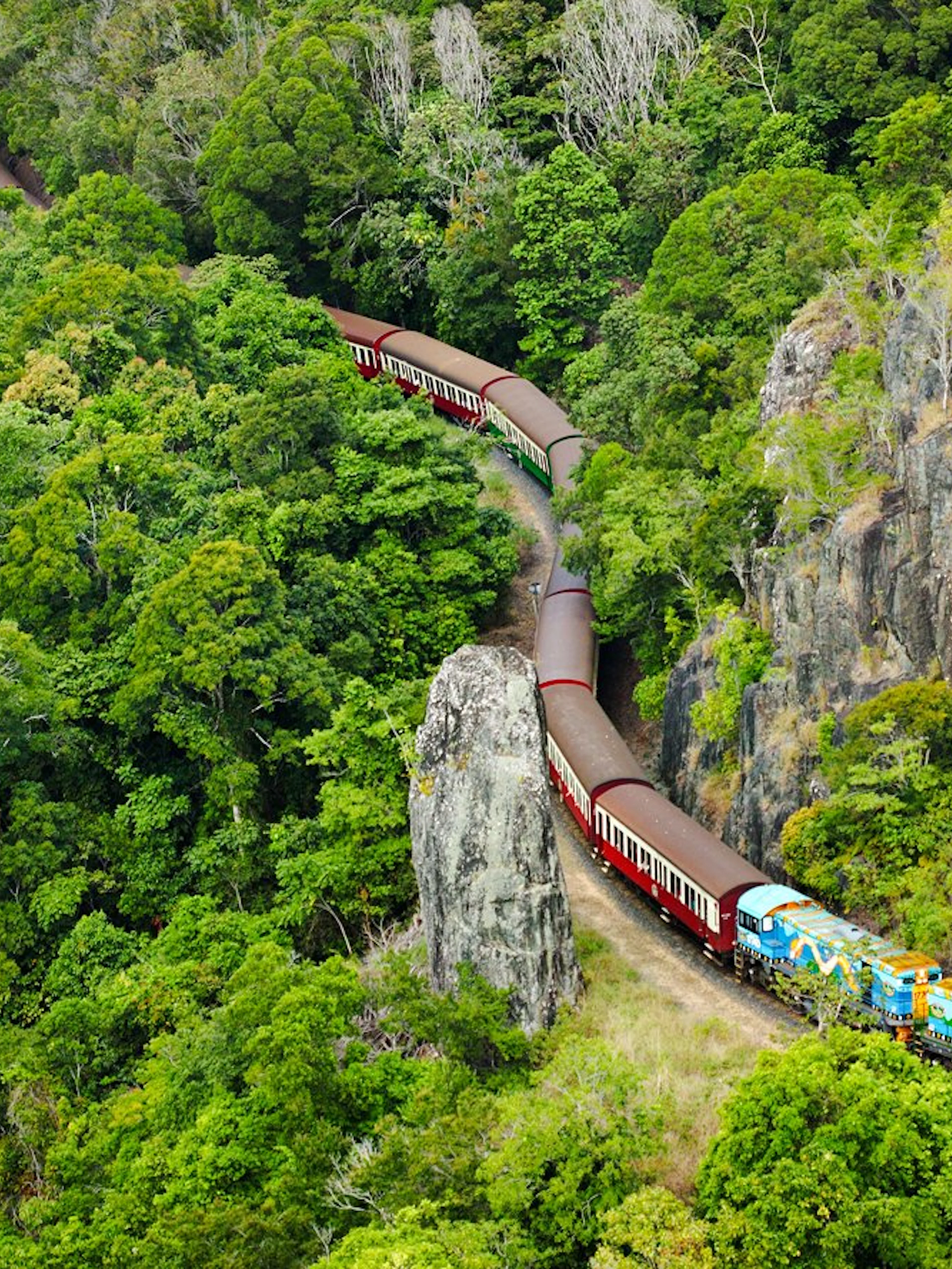 Scenic train winding through lush rainforest near Kuranda, Australia.