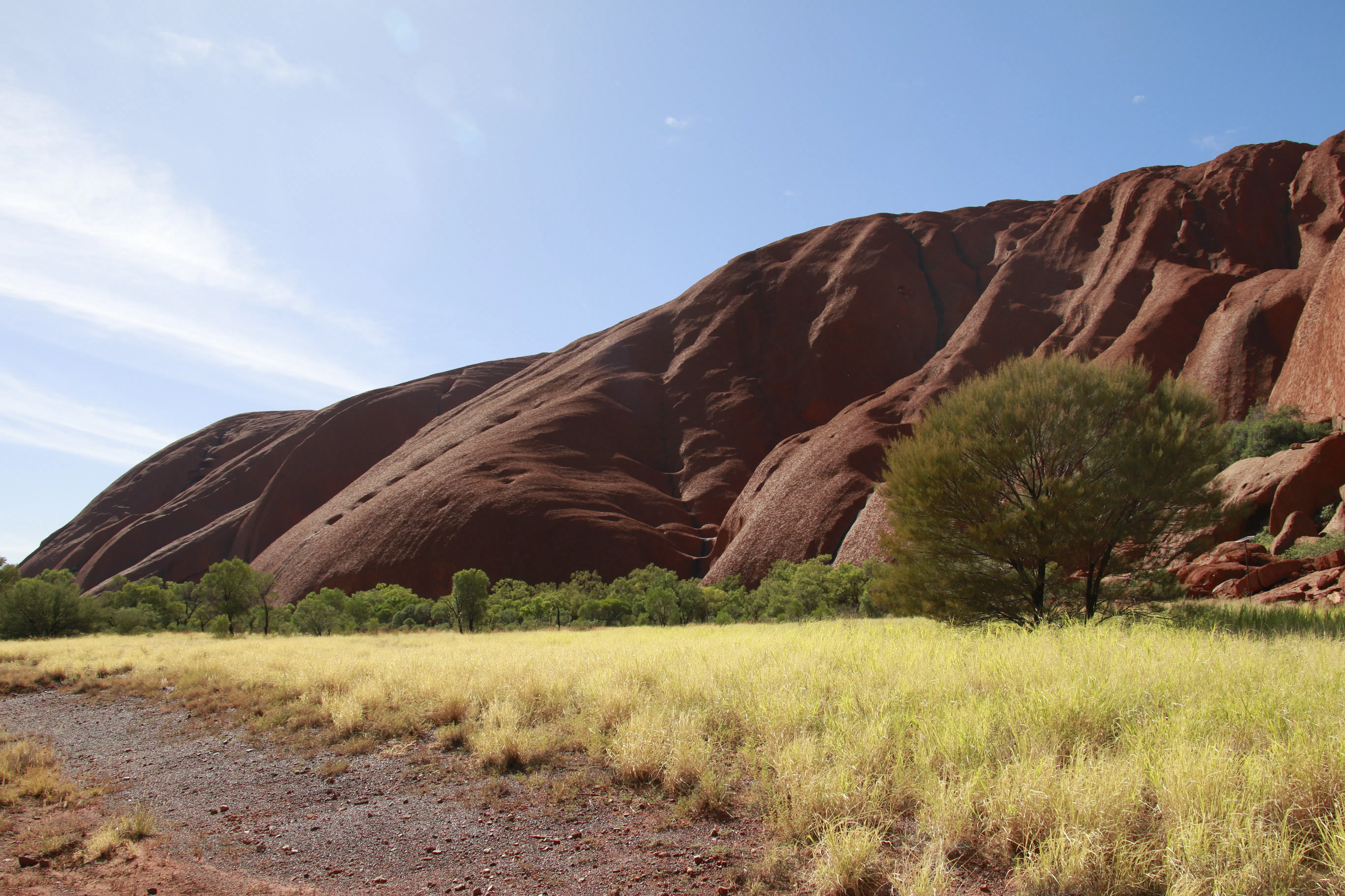 Curtin Springs