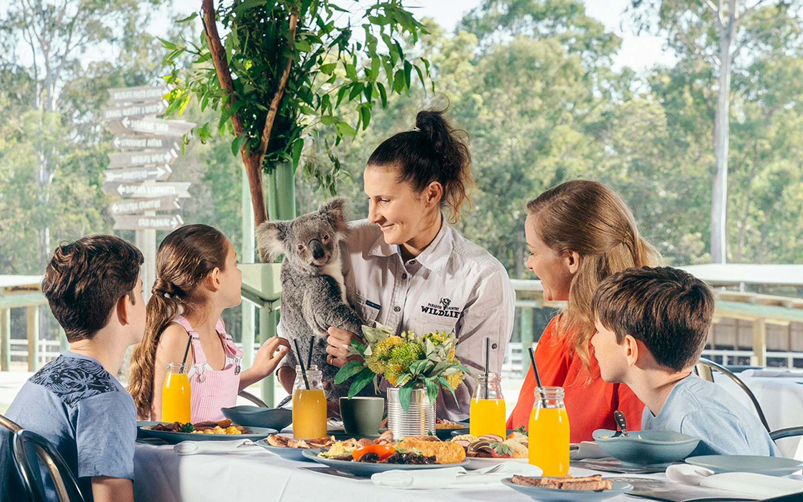 Breakfast with Koalas at Paradise Country