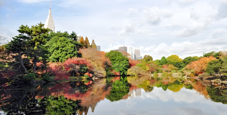 Shinjuku Gyoen National Park