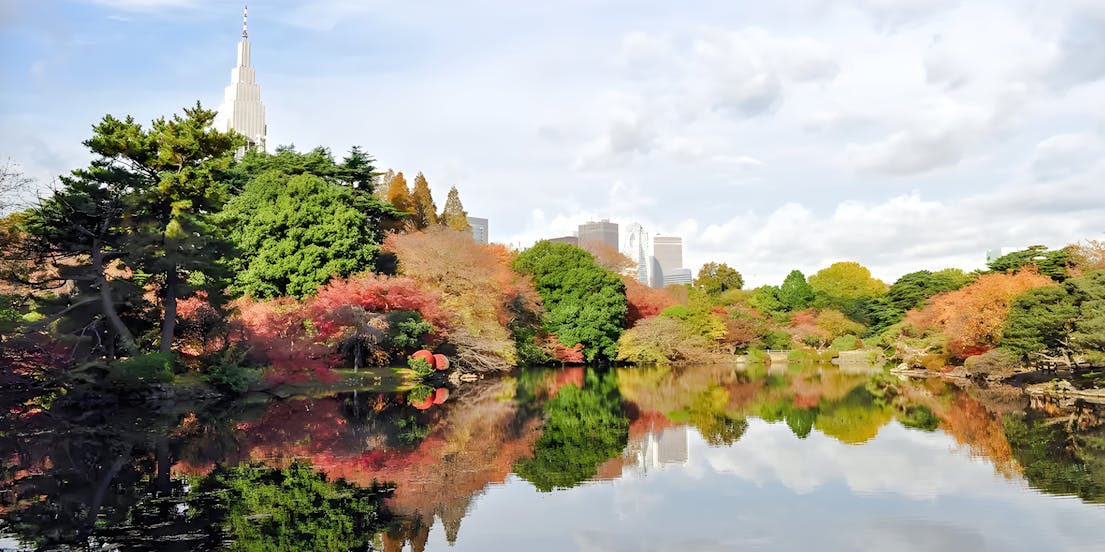 Shinjuku Gyoen National Park