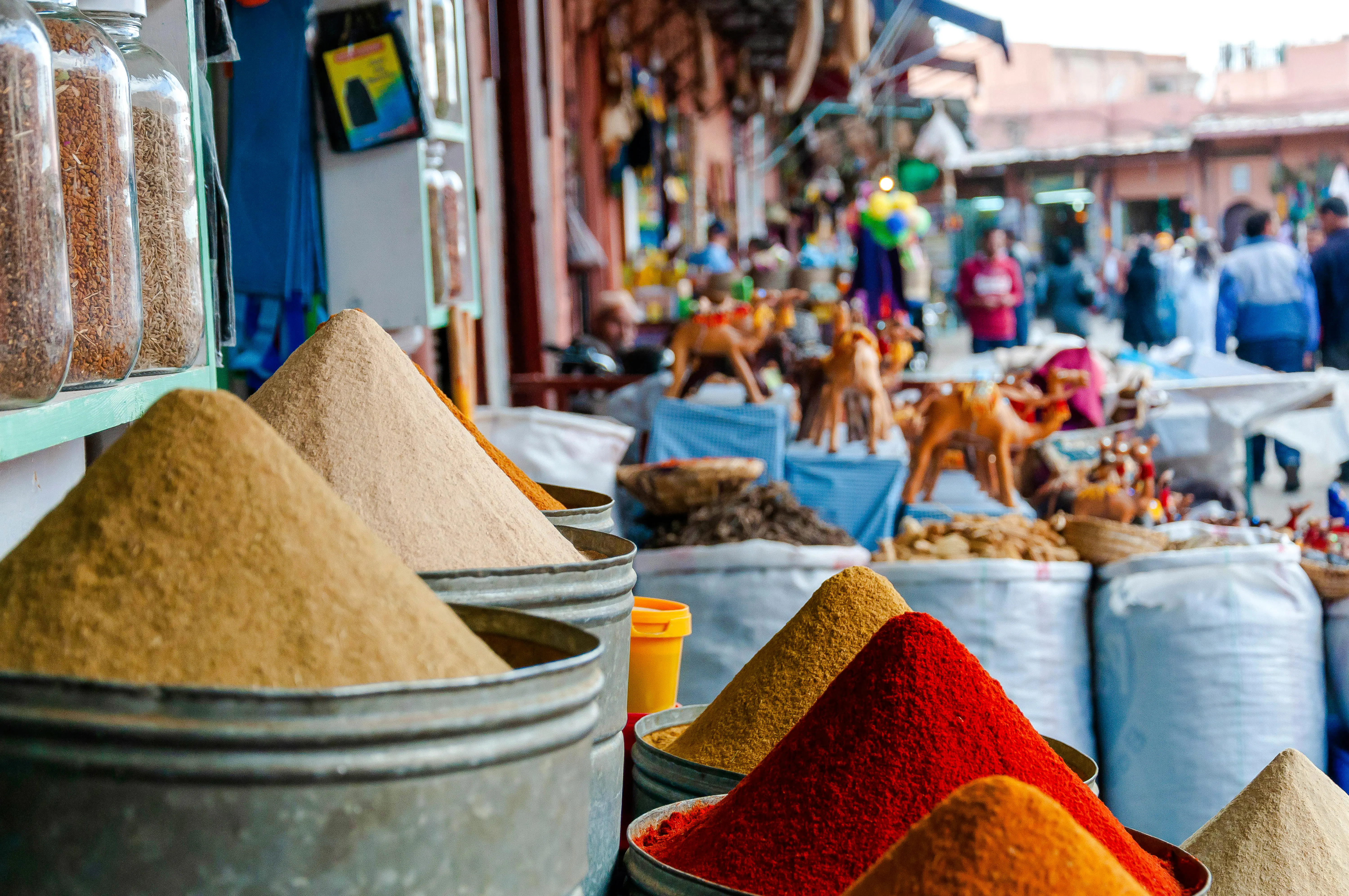 Marrakech Private City Highlights Tour with Guide and Transport