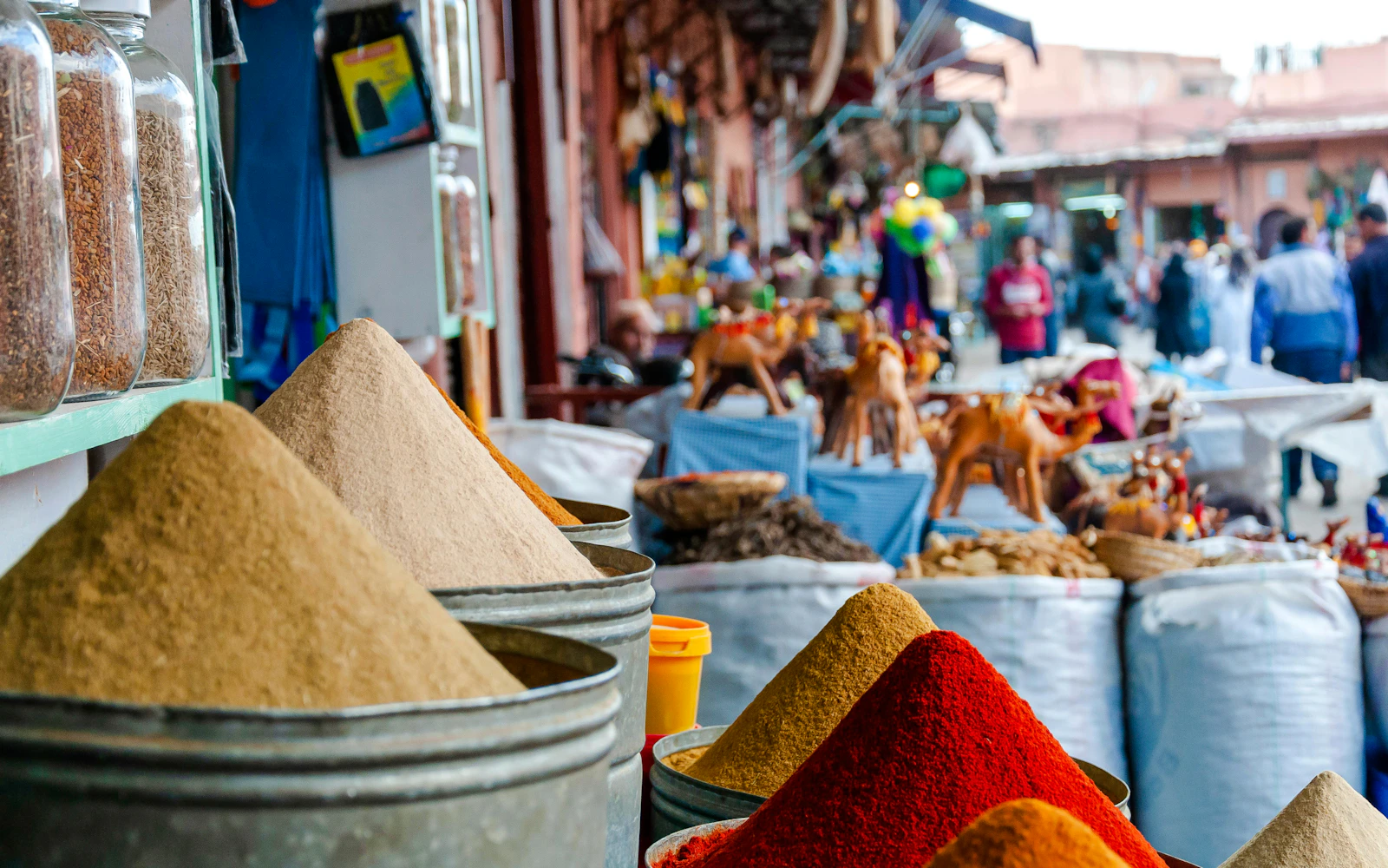 Marrakech Private City Highlights Tour with Guide and Transport