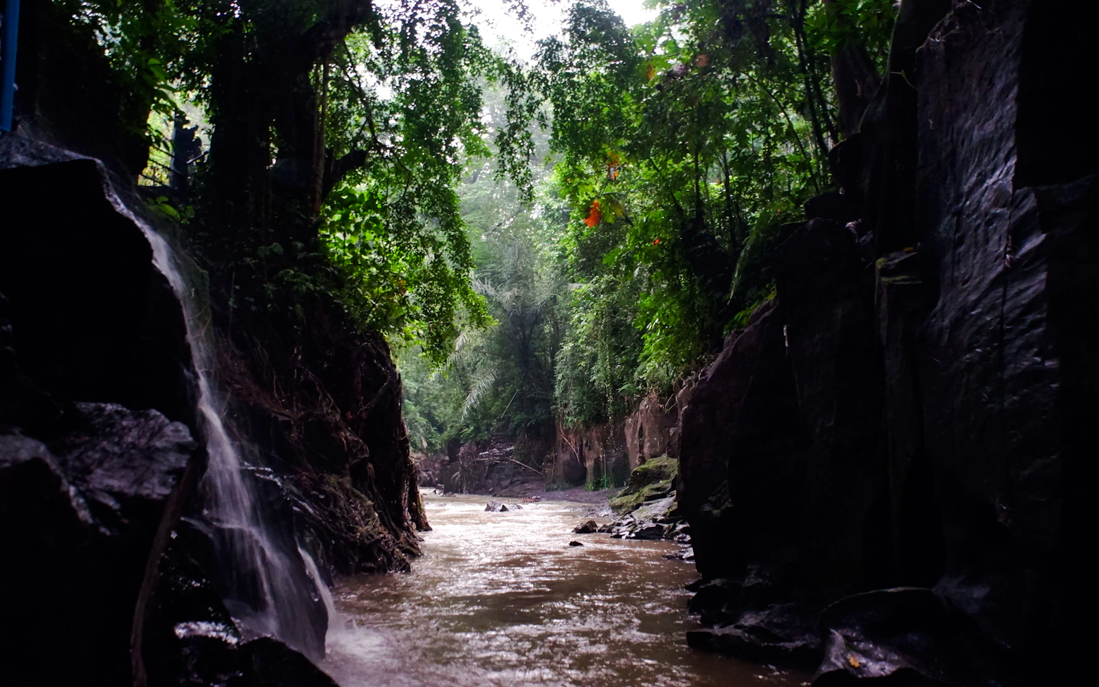Ubud Private Tour: Tibumana and Kanto Lampo Waterfalls, Tirta Empul Water Temple, and Tegalalang Rice Terraces Image 2