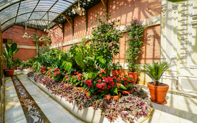 Botanic garden with lush plants and flowers in Yildiz Palace, Istanbul, Turkiye.