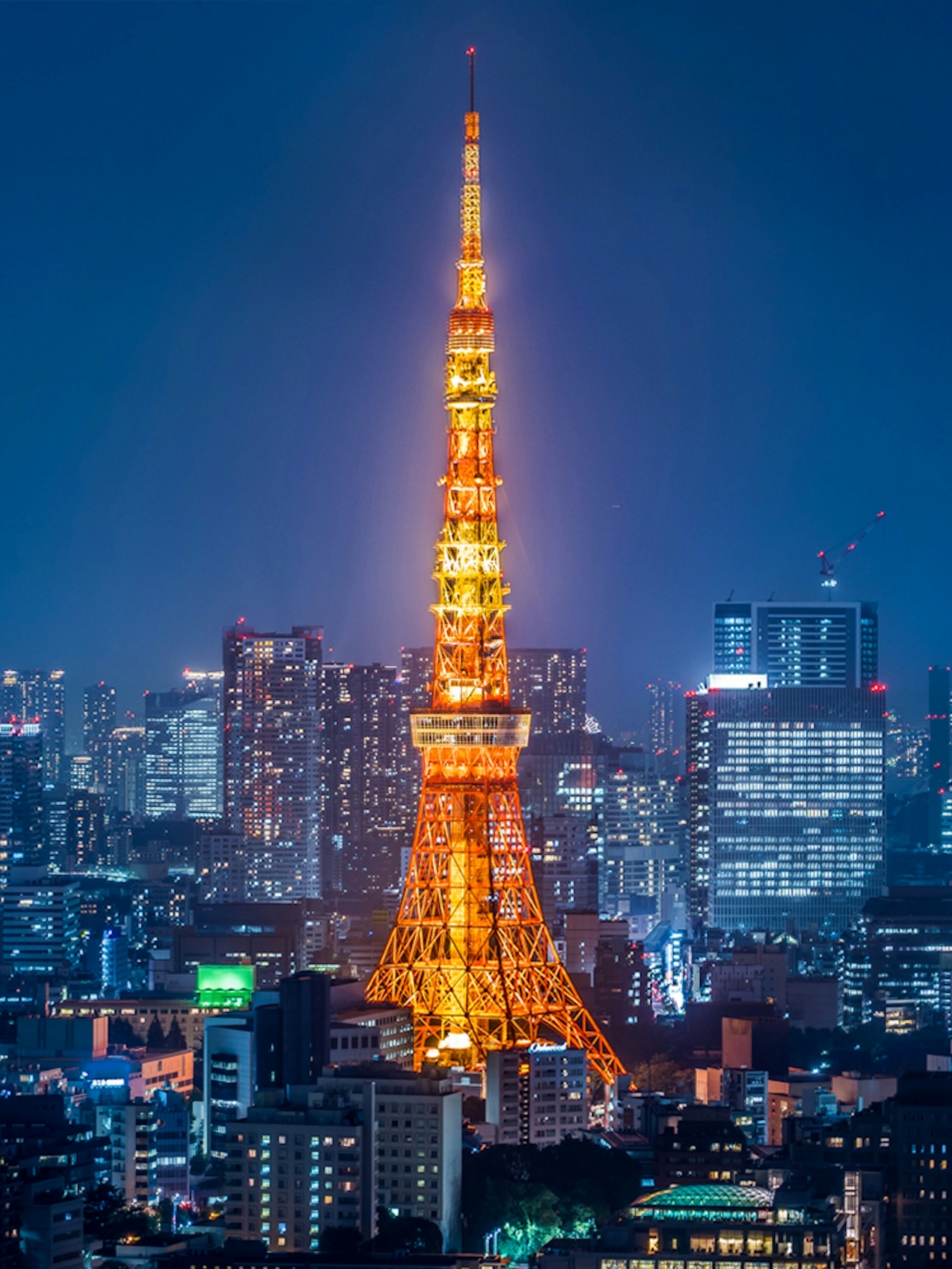 Tokyo Tower illuminated at night with city skyline.