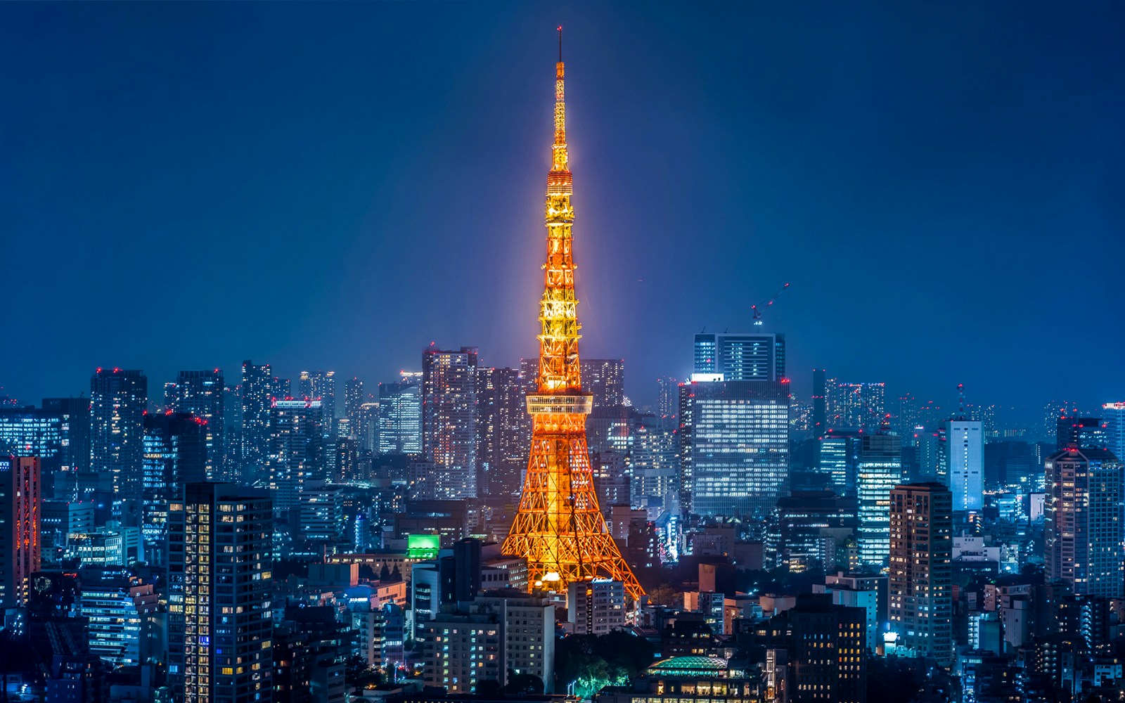 Tokyo Tower illuminated at night with city skyline.