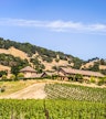 Napa Valley